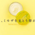 スチームクリーム、春を告げる季節限定ミモザシリーズが今年も登場