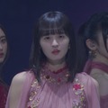乃木坂46（提供写真）