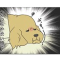 ひいきはダメよ！愛犬が寝てる間に愛猫と戯れていると感じる、ぶちゃ渋い視線…【おさんぽですし！　おしゃべり犬とイライラ猫の日記 #31】 画像