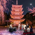京都の世界遺産で夜桜アートイベント「醍醐花見」3月27日から 醍醐寺が光の桜絵巻に 画像