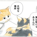 「もう寒い季節は終わったよ」という知らせが…咲き誇る桜を見て２匹の猫が感じたことは？【続 ミケちゃんとやすらぎさん #５】