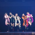 フジコーズ（C）AGESTOCK2026