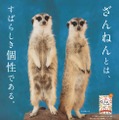 サンシャイン水族館「ざんねんないきもの展3」