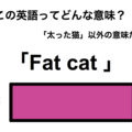 この英語ってどんな意味？「Fat cat」 画像