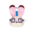 C賞 フェイスぬいぐるみマスコット／© Disney