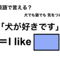 英語で「犬が好きです」は何て言う？ 画像