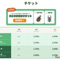 チケット
