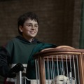 「HBO Max on Hulu」が10月サービス開始　ドラマ「ハリー・ポッター」Huluで12月下旬配信へ 画像