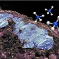 リュウグウに45億年前の塩水痕跡、生命材料を生む環境か 画像