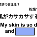 英語で「肌がカサカサする」は何て言う？ 画像