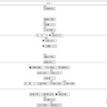 女子2月4日以降