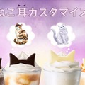 ねこ耳カスタマイズ（提供写真）