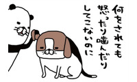 普段はおっとり愛犬・梅吉。唯一「野生の本性」をむき出しにするのは…【パンダと犬 ＃２】 画像