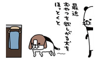 食事はカリカリとジャーキーの繰り返し。全く飽きたそぶりナシ？【パンダと犬 ＃15】 画像