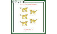 クイズです！「この動物たちがあらわす都道府県は？」答えは西日本のどこかです【難易度LV２.・甘口】 画像