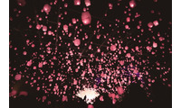 東京・新宿に桜色ランタンが舞う！「花見灯夜2026」幻想空間に酔いしれる花見イベント 画像