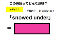 この英語ってどんな意味？「snowed under」 画像