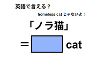 英語で「ノラ猫」は何て言う？ 画像