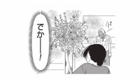 美容クリニックのドクター宛てに毎月届く豪勢な花！送り主は一体どんな患者さん…？【女の人生に整形って必要ですか？ #20】 画像