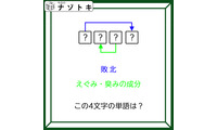 クイズです！「この４文字の単語は？」二つの単語から導きだしましょう【難易度LV３.・中辛】 画像