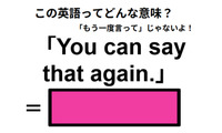 この英語ってどんな意味？「You can say that again.」 画像