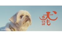 フォワー18万人超えの人気犬が前野朋哉と共演、短編映画『犬も歩けば』YouTubeにて公開 画像