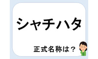 【クイズ】シャチハタって何だか言える？意外に知らない！ 画像