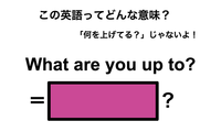この英語ってどんな意味？「What are you up to?」 画像