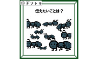 クイズです！「このイラストが伝えていることは？」生き物がたくさんいますね【難易度LV２.・甘口】 画像