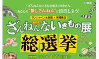 サンシャイン水族館「ざんねんないきもの総選挙」8/23まで 画像