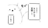 嵐の中、無理をして倒れてしまった僕…目が覚めると、そこは天国だった？【とりきっさ！ #21】 画像