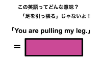 この英語ってどんな意味？「You are pulling my leg.」 画像