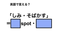 英語で「しみ・そばかす」は何て言う？ 画像