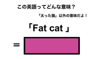 この英語ってどんな意味？「Fat cat」 画像