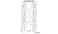 【高校野球2026夏】神奈川大会の組合せ決定…横浜は7/9初戦 画像
