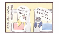隣同士のケージで暮らす2羽のインコ。一体どんな会話をしているの？【うちのインコたちは今日もおしゃべり #２】 画像