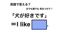 英語で「犬が好きです」は何て言う？ 画像