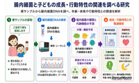 未就学児の腸内細菌、睡眠や情緒との関連を確認…金沢工業大・三重大 画像