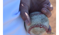 【高校野球2026夏】花巻東・岡山学芸館・鳴門渦潮・霞ケ浦が勝利、第6日は横浜vs沖縄尚学ほか 画像
