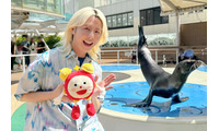 ミセス藤澤涼架「めざましテレビ」ミニ企画レギュラー化「涼ちゃんの動物メモ」9月スタート・初回放送テーマは“アシカ” 画像