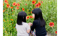 小学生におすすめのイベント…9-12月に開催、応募開始などの情報まとめ 画像