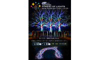 代々木公園を五感で歩く体験型イルミネーション「ACN presents 代々木フォレスト・オブ・ライツ ～光の森～」11月13日から開催 画像