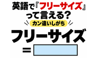 英語で「フリーサイズ」って言える？カン違いしがち 画像