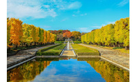 昭和記念公園で「黄葉・紅葉まつり＆秋の夜散歩2026」開催 光と音楽の演出も息をのむ美しさ 画像