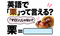 英語で「栗」は「マロン」じゃない？正解は意外なコレでした 画像