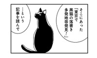 「黒猫の落書き多発地帯」は今もある？ 20年前の記憶を頼りに雑司ヶ谷を街歩き【ブラガール #16】 画像