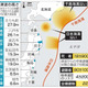 津波死「8割減」へ提言 画像