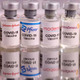 日米、ロシア製ワクチン排除へ 画像