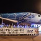 全日空のハワイ定期便が再開 画像