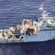 台湾船、海洋調査か 画像